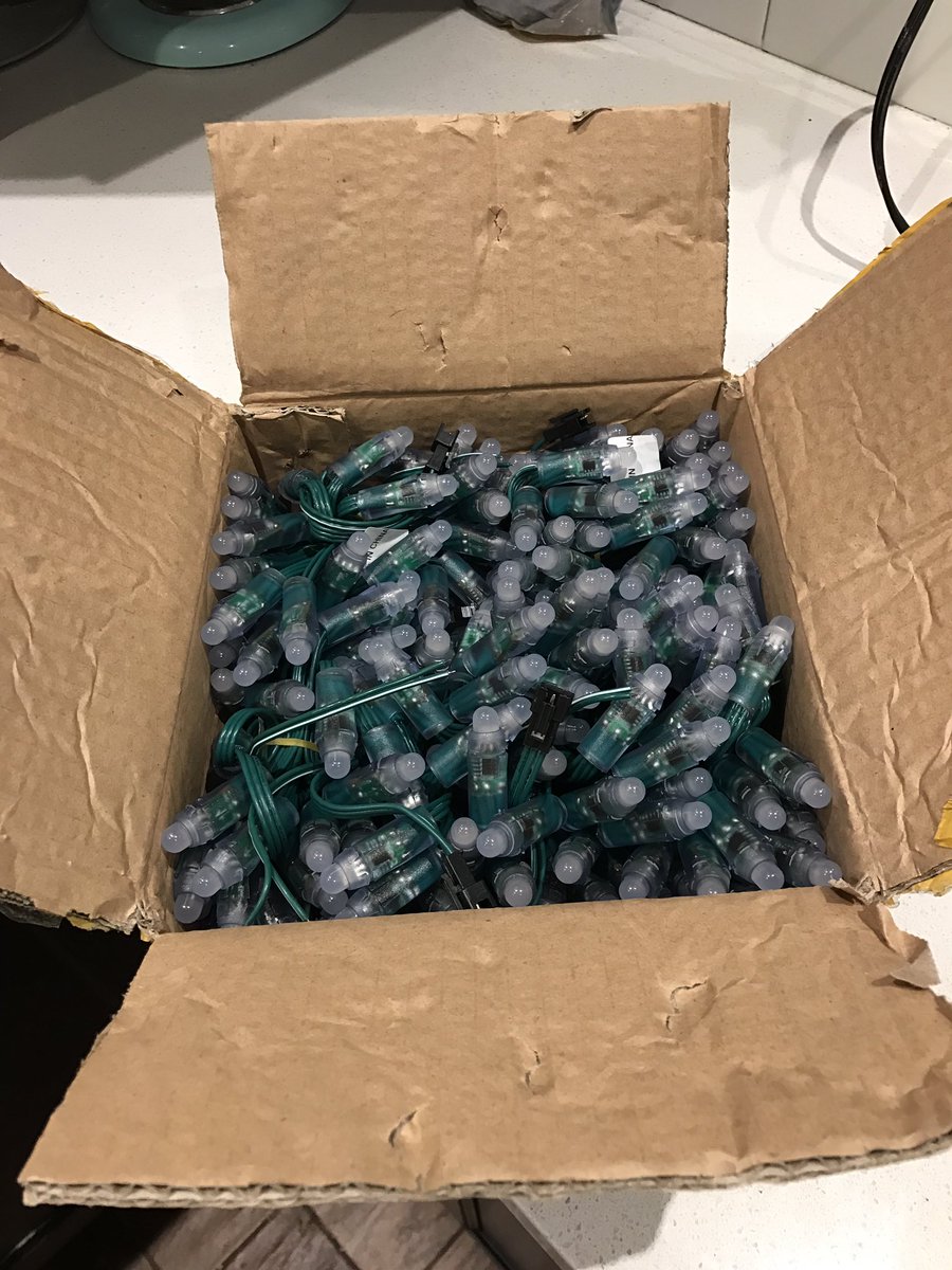 The Great Christmas Tree Experiment